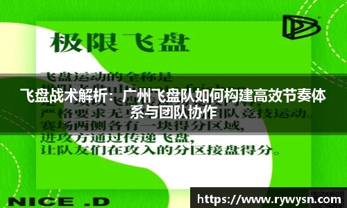 飞盘战术解析：广州飞盘队如何构建高效节奏体系与团队协作